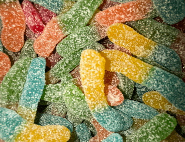 VERS DE TERRE MEGA PIK 100g 