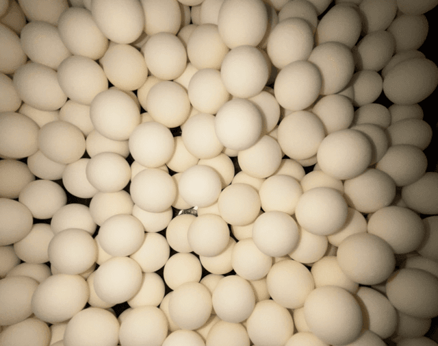 BOULES D’ANIS  100g 